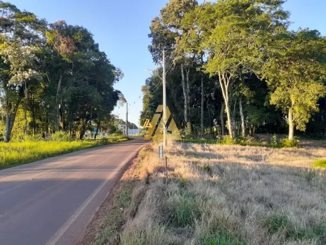 Terreno, foto 3