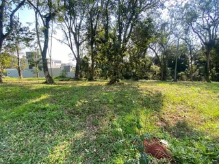 Terreno, foto 2