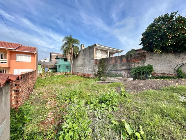Vista externa de uma propriedade com muro e vegetação no Brasil.