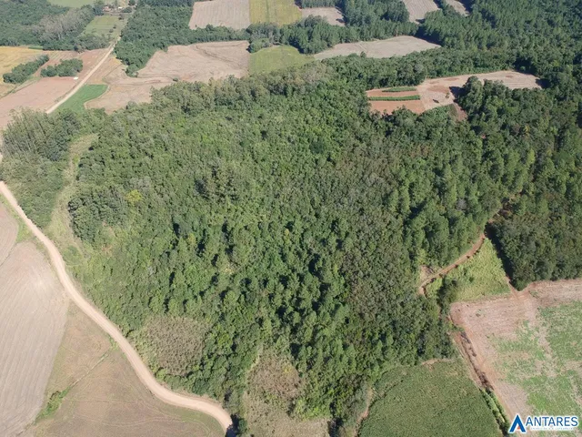 Área rural, foto 5