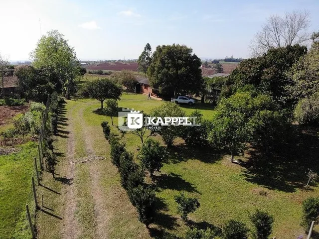 Vista aérea de um terreno aberto com vegetação e campo.