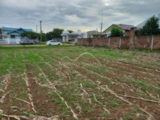 Terreno, foto 2