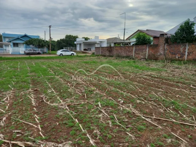 Terreno, foto 2