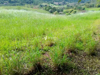 Área rural, foto 4