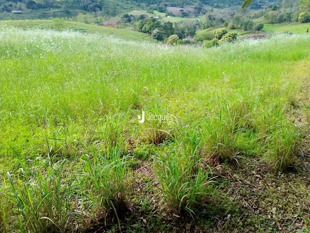 Área rural, foto 4