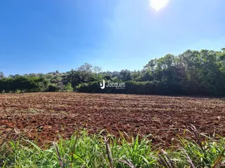 Campo de terra com vegetação rasteira na frente.