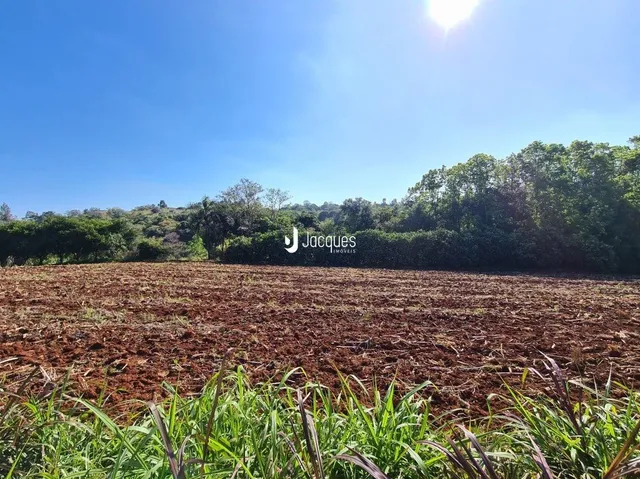 Campo de terra com vegetação rasteira na frente.