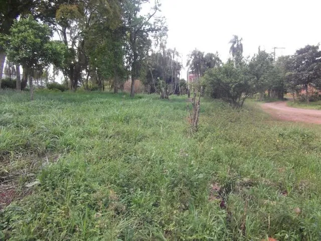 Terreno, foto 4