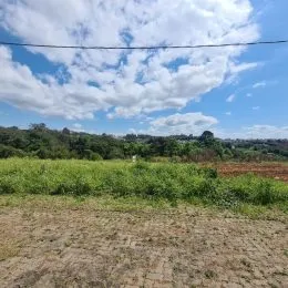 Vista de um campo aberto com vegetação seca sob um céu parcialmente nublado.