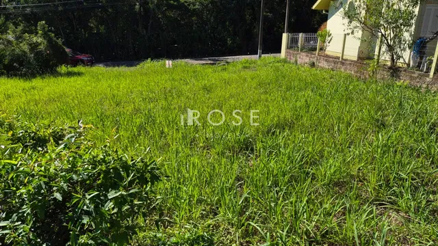 Terreno, foto 4