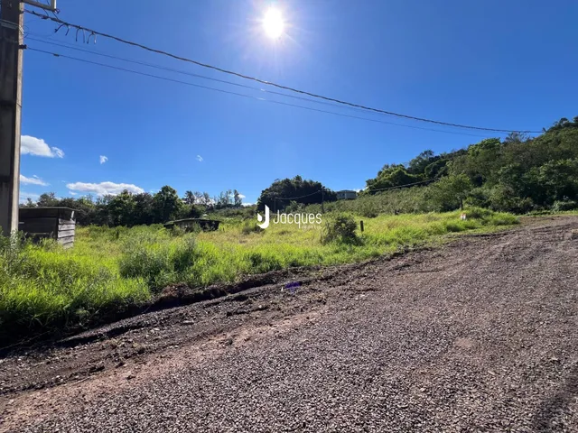 Paisagem rural com vegetação densa ao longo de uma estrada de terra.
