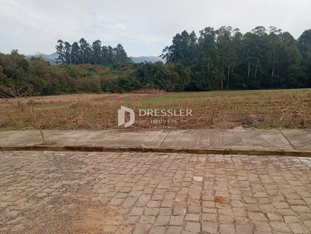 Terreno, foto 4