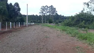 Área rural com 2 dormitórios, foto 3