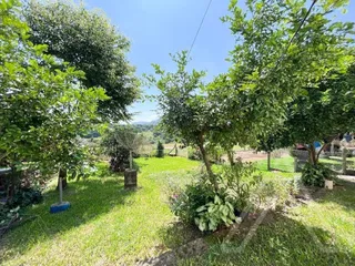 Casa com 3 dormitórios, foto 21