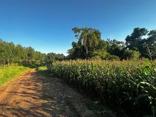 Área rural com 3 dormitórios, foto 49