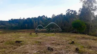 Paisagem de campo aberto com vegetação densa ao fundo.