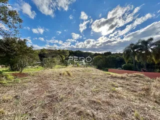 Paisagem de terreno com vegetação seca e árvores ao fundo.
