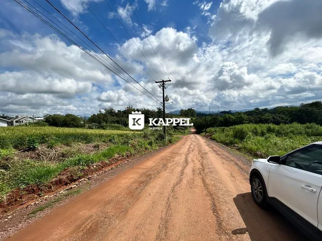Uma estrada de terra vermelha leva a uma área rural com vegetação densa ao fundo.