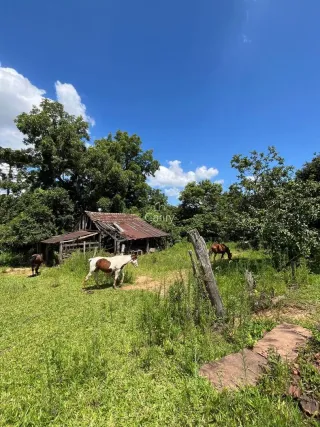 Área rural, foto 16