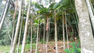 Área rural, foto 5