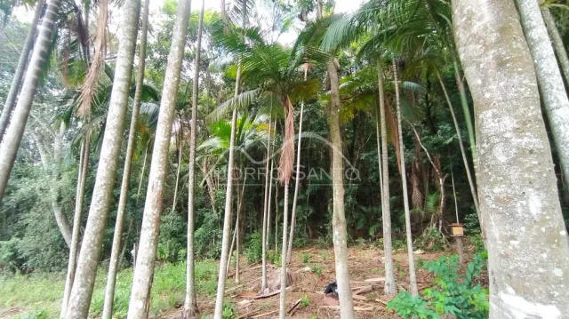 Área rural, foto 5