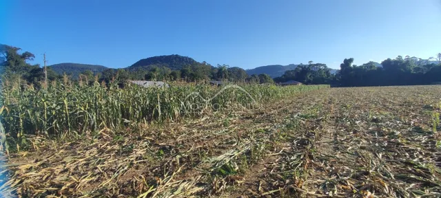 Área rural, foto 3