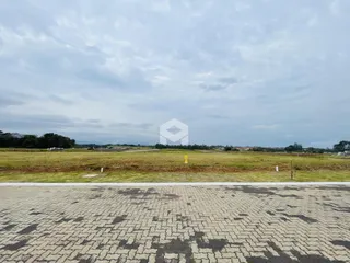Paisagem de campo com grama seca e uma estrada pavimentada no primeiro plano.