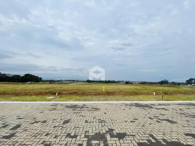 Paisagem de campo com grama seca e uma estrada pavimentada no primeiro plano.