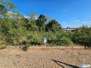 Terreno, foto 4