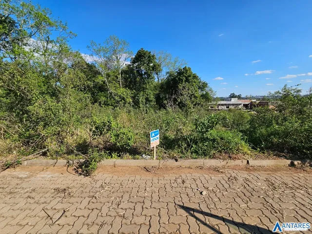 Terreno, foto 4