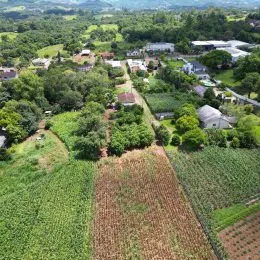 Área rural com 3 dormitórios, foto 6