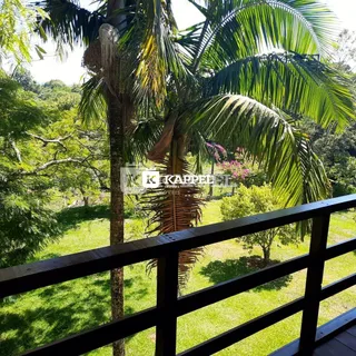 Vista de um jardim com palmeiras e uma grade de madeira.