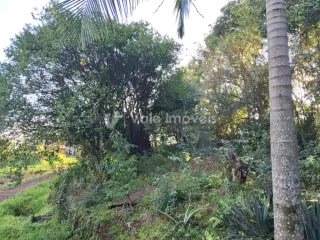 Área rural, foto 6