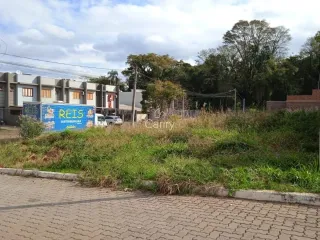 Terreno, foto 1