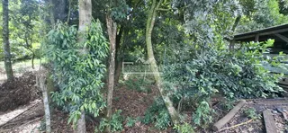Área rural com 4 dormitórios, foto 9