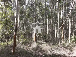Área rural, foto 4