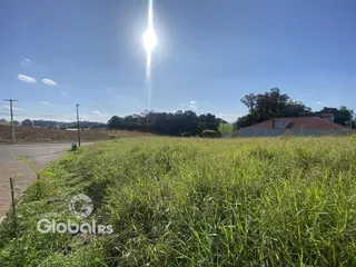 Vista de campo com grama alta e uma casa ao fundo.