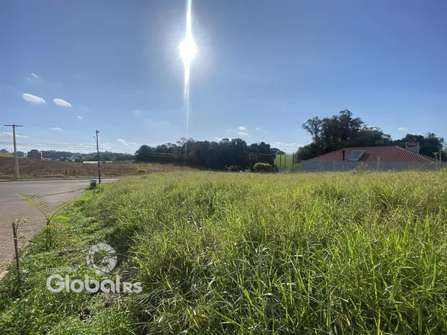 Vista de campo com grama alta e uma casa ao fundo.