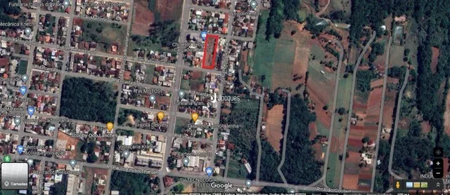 Vista aérea de uma área residencial com vegetação densa.