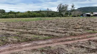 Vista de um campo aberto com vegetação seca e trilha de terra.