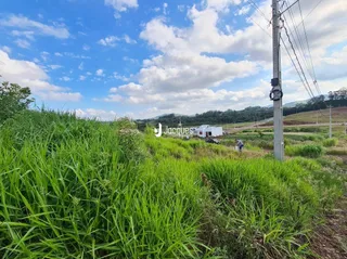 Paisagem de vegetação verde com colinas ao fundo.
