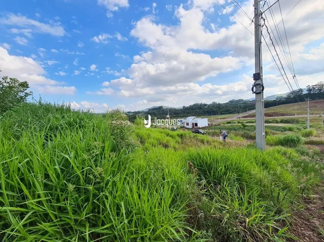 Paisagem de vegetação verde com colinas ao fundo.