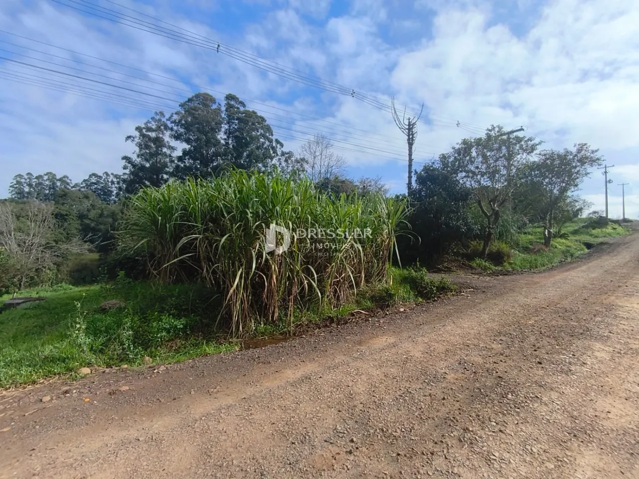Área rural, foto 1