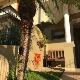 Foto da fachada de uma residência em Lajeado, Brasil, mostrando a vegetação e a estrutura externa.