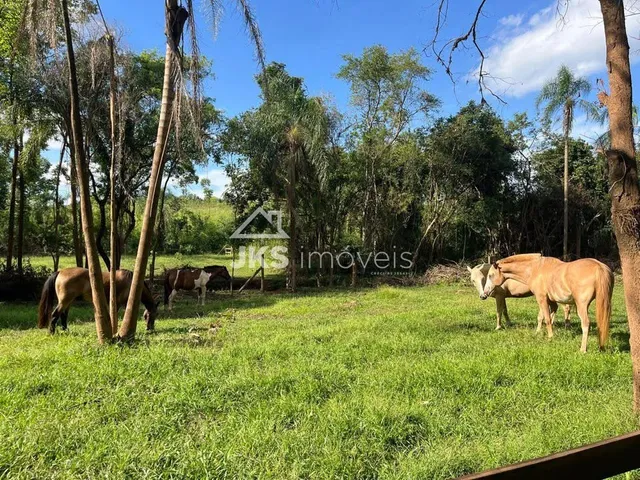 Área rural, foto 3