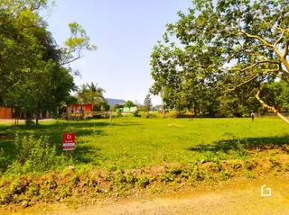 Terreno, foto 5
