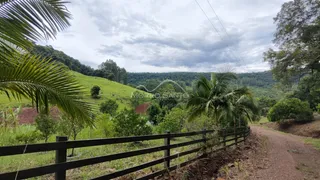 Vista de colinas verdes e vegetação exuberante com palmeiras em Lajeado.