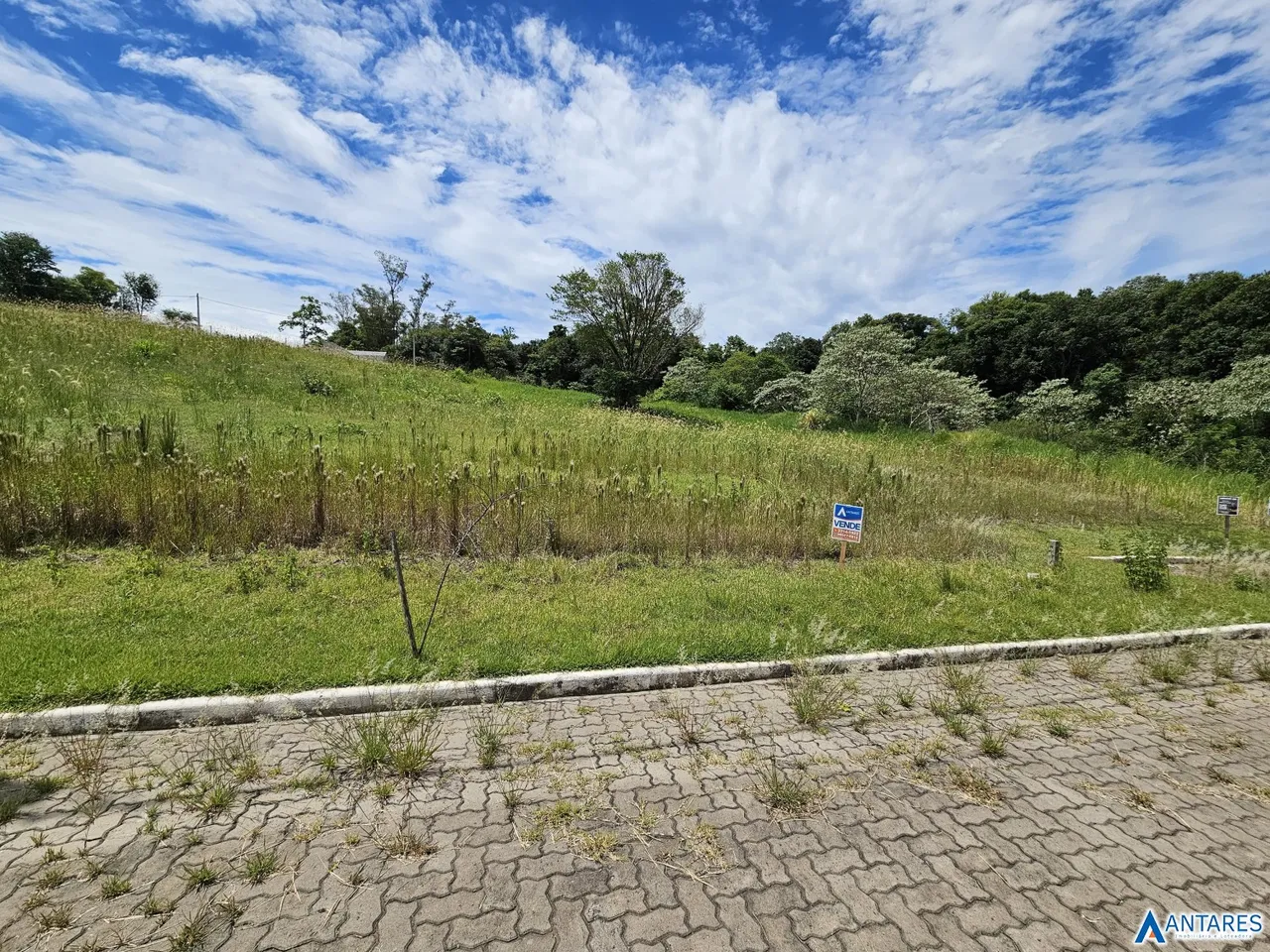 Terreno, foto 1
