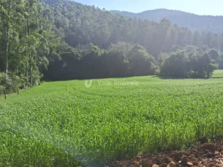 Área rural, foto 8