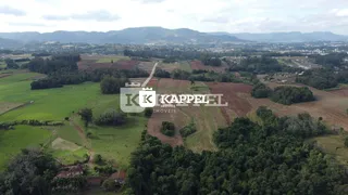 Vista aérea de campos verdes e vegetação em uma paisagem rural.